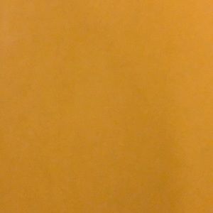 Meet your Posher, Jordon